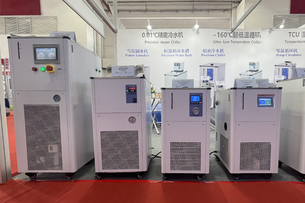 高低溫循環(huán)泵